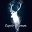 EXPECTO PATRONUM