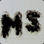 MS-124
