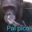 pal pico