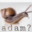 adam?