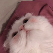 你和好吃的我都要