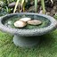 birdbath2k20