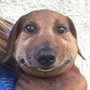 rageaddicted - steam id 76561199858550559