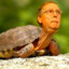 Mitch McConnell, kill yourself