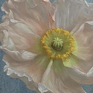 上帝让我再杀一个