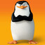 🐧Fama_junIör🐧