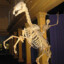the logster
