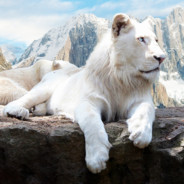 人体画家 将星夜