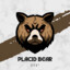 The_Placid_Bear