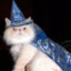 MagicCat