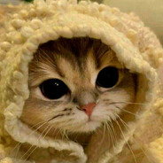 OFICIANT | Амням