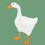 Goose
