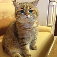 300 руб за 100 ммр