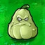 Squash