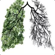悍刀行