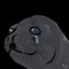 Psyched Seal