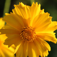 我是ifeng你知道