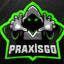 Praxisgo