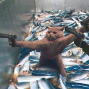 叮叮车不想被压力