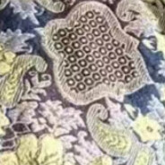 FDHUSFSGDAHFGHDAHSDAS1111