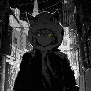 Zoro_Gaming "csgorun"