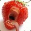 Infernal Strawberry