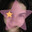 Snake Eater Steam avatar