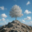 silvertree