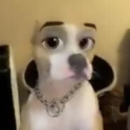 тёма капи♡󠁳