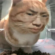 你赖东东不错嘛