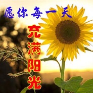 重生之窝斯泥蝶