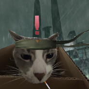 jasperdatcat0712