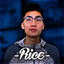 ricegum