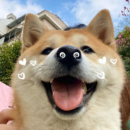 _◆骑着小猪去兜风◆