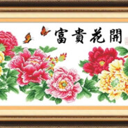 挖一下马蹄螺马蹄哒哒