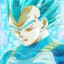 NewVegeta97