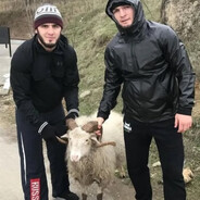 папочка