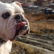 Svenny - steam id 76561197965823316