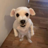 arxmel - steam id 76561199480325623