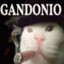 Mr.Gandonio