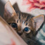 TheShy