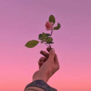 雀氏是在狐闹喔