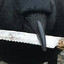 Tobsterbird