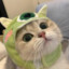 小芹菜