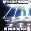 души нормисов не вознесутся