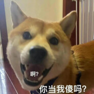 今天起的有点早