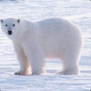 Dwa Palce w Umywalce