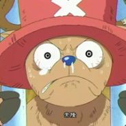 10个品种还不够