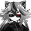 WESKER&#039;S RACCOON
