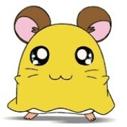 fumiya